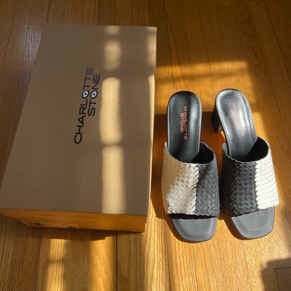 NWT Charlotte Stone Lenu heels